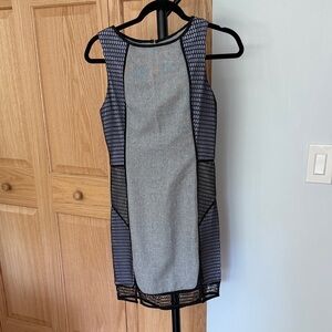 Endless Rose Gray and Black Mesh Mini Dress